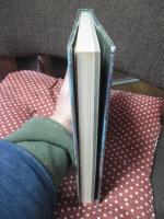 日本の旅人 1 「在原業平 東下り」