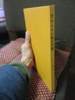 空からみた都市景観