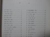 空からみた都市景観