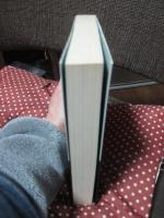 悟りの瞬間 : 禅の奥義書「伝灯録」を解く