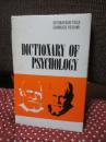 心理学辞典