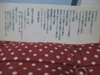 規範としての文化 : 文化統合の近代史