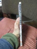 自閉症の子どもの指導法 : 子どもに適した教育のためのガイド