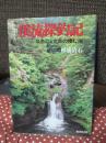 渓流探釣記 : 岩魚と山女魚の棲む渓
