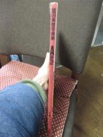 藍田美豊写真集 (少女隊 ミホ) : ADULTO (アダルト)－女へのプロセス