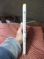 聖フランチェスコの鳥