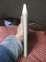 聖フランチェスコの鳥