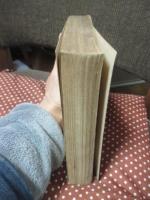 現代ヂャーナリズム論