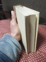 一日本人： 自伝的長篇小説