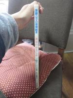 黄金のかもしか : インド民話