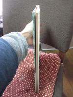 黄金のかもしか : インド民話