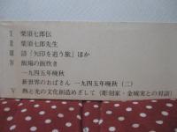 水平の人 : 栗須七郎先生と私