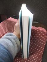 聖地巡礼ガイド : イエス・キリストの足跡をたどる