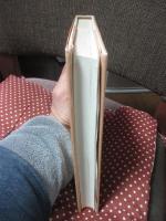 メルヴィルの語り手たち