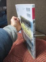 新・王子江画集 : 世界人類の平和を祈る