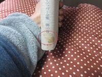 ハイデッガー全集 第33巻 「アリストテレス, 『形而上学』第9巻1-3 力の本質と現実性について」