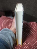 「移民列島」ニッポン : 多文化共生社会に生きる