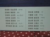 日本〈汽水〉紀行 : 「森は海の恋人」の世界を尋ねて