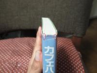 カフェハウスの文化史