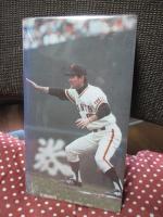 栄光のV1　長島茂雄