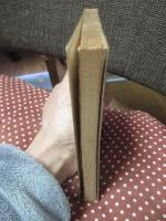 プロ野球22シーズンとトラブルの歴史