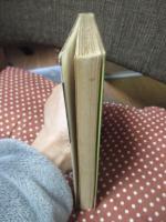 プロ野球忍法帖