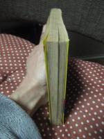 読売巨人軍のすべて 53年度版 <ポケット・ナンバーワン>