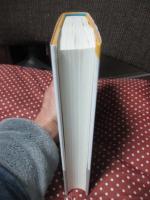 ハイネ : 挑発するアポリア