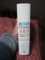 超大国アメリカの文化力 : 仏文化外交官による全米踏査レポート