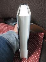 浮游して北に澄む