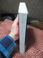 オルタナティヴス : アジアのアートスペースガイド