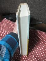 ディルタイ： その哲学への案内