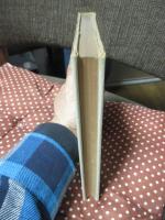 愛と実存 : 霊の国セザルの国