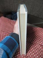 実存主義克服の問題 : 新しい被護性