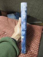 ボーヌで死ぬということ : <中世の秋>の一風景