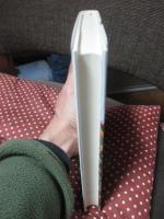 ボーヌで死ぬということ : <中世の秋>の一風景