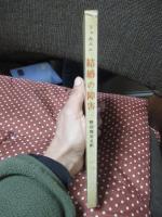 結婚の障害 : 愛による連帯を求めて