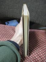 結婚の障害 : 愛による連帯を求めて