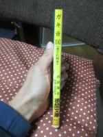 ガキ帝国 : 悪たれ戦争