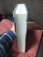 ぼくの採点表 : 西洋シネマ大系