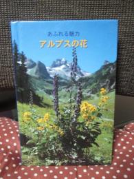 あふれる魅力　アルプスの花