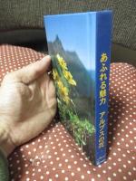 あふれる魅力　アルプスの花