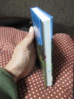 あふれる魅力　アルプスの花