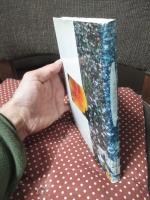 北山の花と西宮