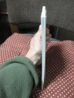 神戸の水生植物