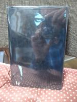 表現の世界 : 芸術前衛たちとその思想