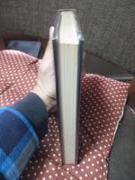 表現の世界 : 芸術前衛たちとその思想