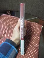 山崎断層 : その地震と災害