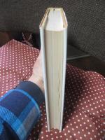 自然界における左と右