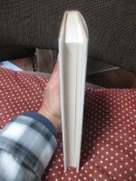 子供流離譚 : さよなら<コドモ>たち